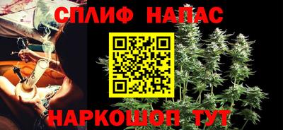 прущие грибы Обнинск