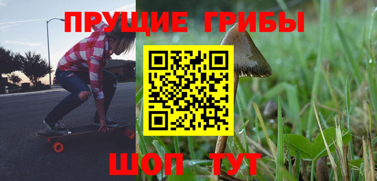 Ступино  Псилоцибиновые грибы GOLDEN TEACHER  Галлюциногенные грибы GOLDEN TEACHER  Вход с VPN 